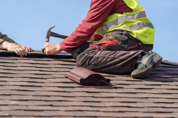 Best Roof Gutter Cleaning  in Independence, LA